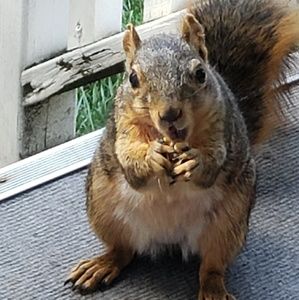 Meet your Posher, Christine